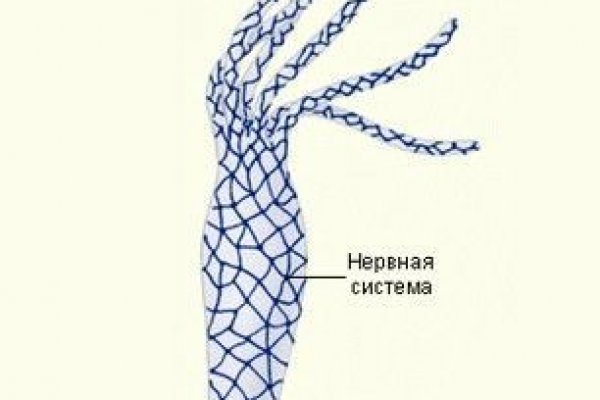 Адрес сайта кракен