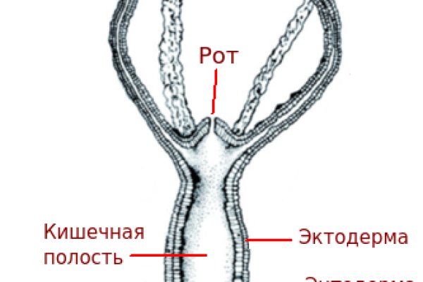 Список луковых tor сайтов