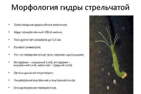Кракен вход