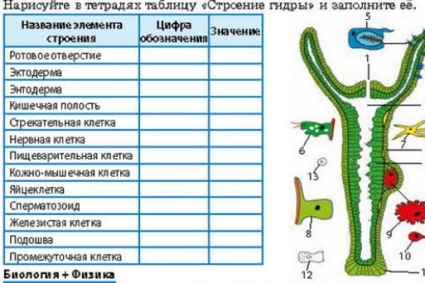 Оригинальная ссылка на кракен