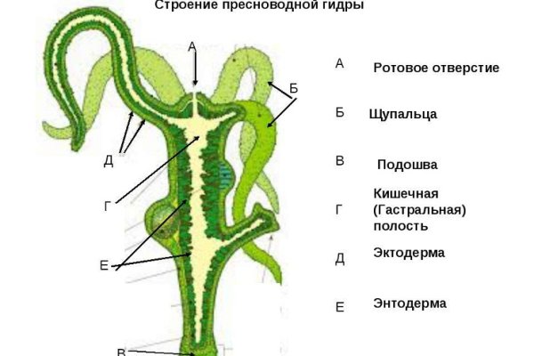 Кракен даркнет store