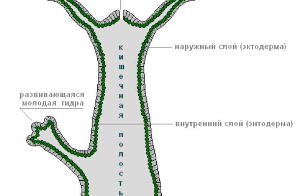 Ссылки на кракен at