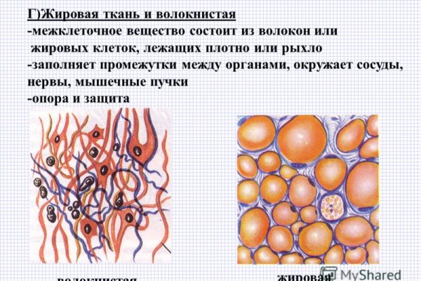 Kraken ссылка актуальная