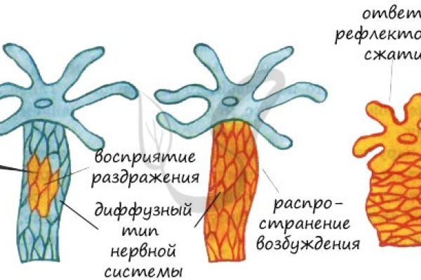 Какая сейчас ссылка на кракен