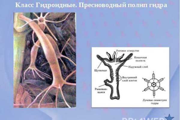 Сайт кракен россия
