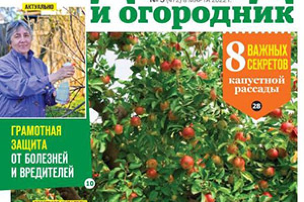Кракен сайт маркетплейс ссылка