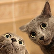 Сайты с наркотой