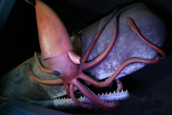 Кракен сайт 1kraken me
