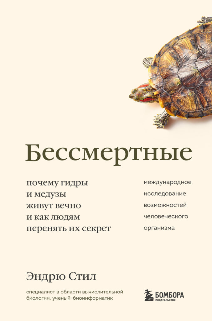 Кракен сайт дарк нет