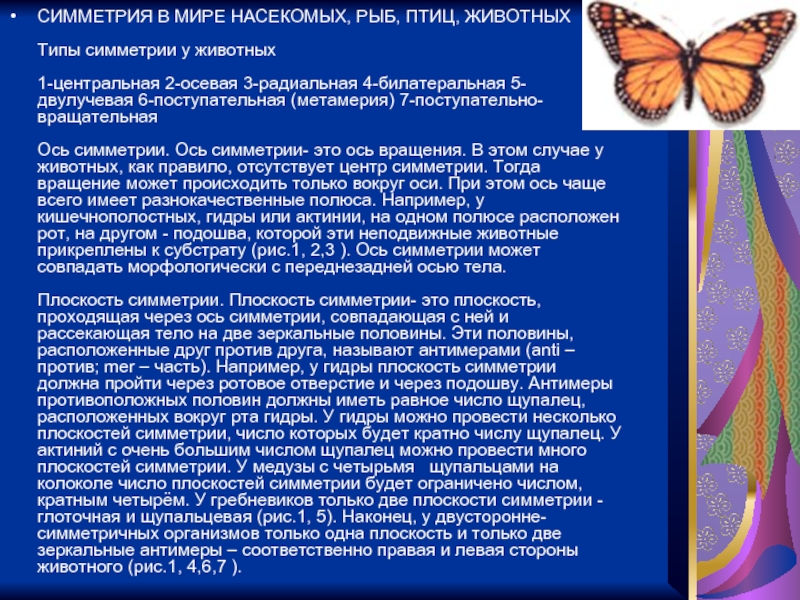 Кракен онион даркнет площадка